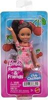 Opakowanie Barbie Family & Friends Doll