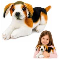 Opakowanie Beagle pluszowy 25cm