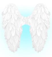 Opakowanie Białe skrzydła naturalne pióra