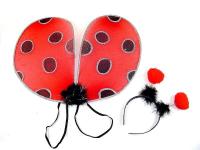 Opakowanie Biedronka skrzydełka + czułki