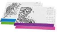 Opakowanie Biuwar wkład A3 z kolorowanką