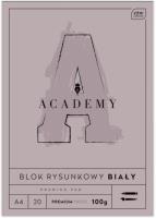 Opakowanie Blok rysunkowy A4 20 100g ACADEMY