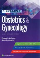 Okładka książki Blueprints Obstetrics & Gynecology