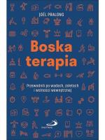 Okładka książki Boska terapia. Przewodnik po wadach, zaletach i...