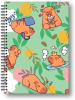 Opakowanie Brulion A5/80K kratka Kapibara łąka PENMATE