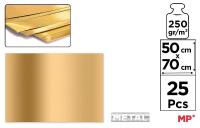 Opakowanie Brystol metaliczny złoty 50x70cm 25szt