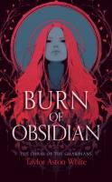 Okładka książki Burn of Obsidian: A Dark Paranormal Romance