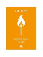 Chcemy się tylko podpalić. Autor: Christian Kempf. SmakLiter.pl Okładka książki Chcemy się tylko podpalić