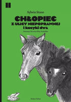 Chłopiec z ulicy Niepoprawnej i kucyki dwa. Autor: Sylwia Stano. SmakLiter.pl Okładka książki Chłopiec z ulicy Niepoprawnej i kucyki dwa