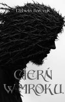 Cierń w mroku. Autor: Barczyk Elżbieta. SmakLiter.pl Okładka książki Cierń w mroku