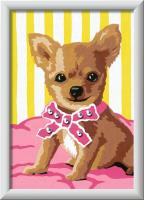 Opakowanie CreArt for Kids Little Chihuahua