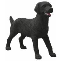 Opakowanie Czarny Labrador suczka