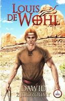 Dawid z Jerozolimy (barwione brzegi). Autor: Wohl de Louis. SmakLiter.pl Okładka książki Dawid z Jerozolimy (barwione brzegi)