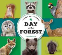 Day in Forest. Autor: Claire Alexandra. SmakLiter.pl Okładka książki Day in Forest