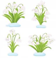 Opakowanie Dekoracje okienne - Przebiśniegi 4el