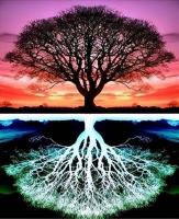 Opakowanie Diamentowa Mozaika Drzewo i odbicie NO-2001537