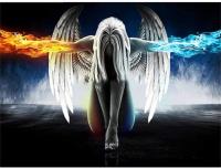 Opakowanie Diamentowa Mozaika Kobieta akt anioł żywiołów NO-1009319