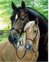 Opakowanie Diamentowa Mozaika Konie dwa zdjęcie NO-1006540