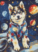 Opakowanie Diamentowa mozaika - Kosmiczny husky 30x40cm