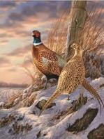 Opakowanie Diamentowa Mozaika Ptaki bażanty zimą NO-2001374