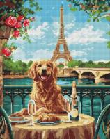 Opakowanie Diamentowa mozaika - Retriever w Paryżu 40x50cm
