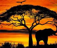 Opakowanie Diamentowa Mozaika Słoń zachód słońca NO-1004944