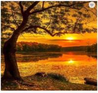 Opakowanie Diamentowa Mozaika Zachód słońca nad moczarami NO-1007414