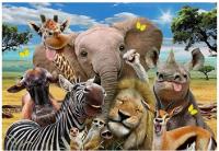 Opakowanie Diamentowa Mozaika Zwierzęta safari uśmiechnięte NO-1007771