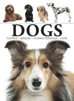 Dogs wer. angielska. Autor: Jackson Tom. SmakLiter.pl Okładka książki Dogs wer. angielska