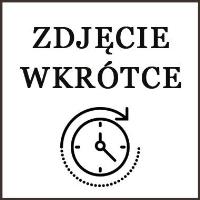 Opakowanie Fidget toy busters