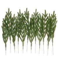 Opakowanie Gałązki cedru 35cm 12szt