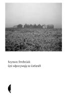 Gęsi odpoczywają na Gotlandii. Autor: Drobniak Szymon. SmakLiter.pl Okładka książki Gęsi odpoczywają na Gotlandii