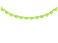 Girlanda bibułowa frędzle zielone jabłuszko 3m. Wydawca: PartyDeco. SmakLiter.pl Opakowanie Girlanda bibułowa frędzle zielone jabłuszko 3m