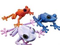 Gniotek żaba 3D MIX. Wydawca: ADAR. SmakLiter.pl Opakowanie Gniotek żaba 3D MIX