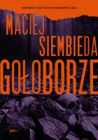 Gołoborze. Autor: Siembieda Maciej. SmakLiter.pl Okładka książki Gołoborze