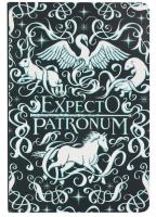 Opakowanie Harry Potter Notatnik A5 linia Expecto Patronum