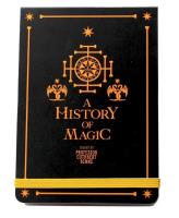 Opakowanie Harry Potter Notes pocket Historia Magii