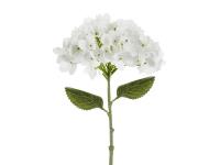 Hortensja biała 35cm. Wydawca: PartyDeco. SmakLiter.pl Opakowanie Hortensja biała 35cm