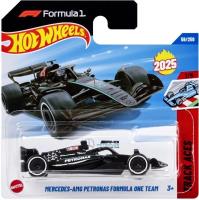 Opakowanie Hot Wheels Formula 1 (96szt)