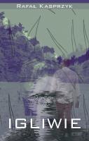 Okładka książki Igliwie czyli niespieszne rozmowy  nie tylko o literaturze