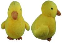 Opakowanie Kaczka 30cm