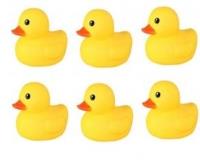 Opakowanie Kaczka do kąpieli 6-pack