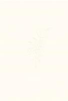 Okładka książki Kalcyt