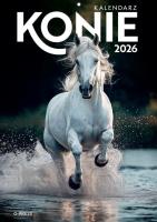 Kalendarz 2026 A4 Wieloplanszowy Konie. Wydawca: O-press. SmakLiter.pl Opakowanie Kalendarz 2026 A4 Wieloplanszowy Konie