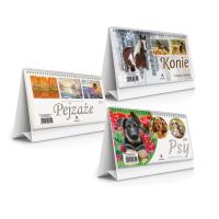 Opakowanie Kalendarz 2026 biurkowy stojący 19,5x11cm MIX