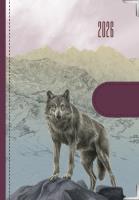 Kalendarz 2026 dzienny Natura Wilki. Wydawca: Eurograf BIS kalendarze. SmakLiter.pl Opakowanie Kalendarz 2026 dzienny Natura Wilki