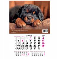 Kalendarz 2026 jednodzielny Pies. Wydawca: O-press. SmakLiter.pl Opakowanie Kalendarz 2026 jednodzielny Pies