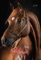 Kalendarz 2026 ścienny A3 Konie. Wydawca: AVANTI. SmakLiter.pl Opakowanie Kalendarz 2026 ścienny A3 Konie