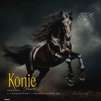 Kalendarz 2026 ścienny albumowy 30x30cm Konie. Wydawca: AVANTI. SmakLiter.pl Opakowanie Kalendarz 2026 ścienny albumowy 30x30cm Konie