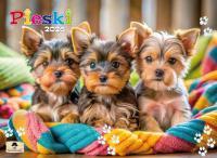 Kalendarz 2026 ścienny albumowy pieski. Wydawca: Pan Kalendarzyk. SmakLiter.pl Opakowanie Kalendarz 2026 ścienny albumowy pieski